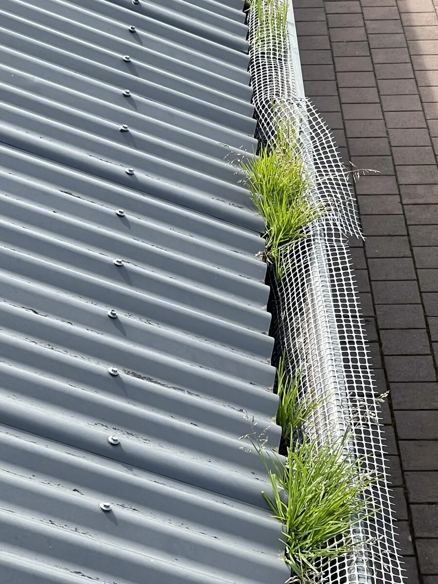 Gutter guard lifted — revealing solid layer of organic matter underneath