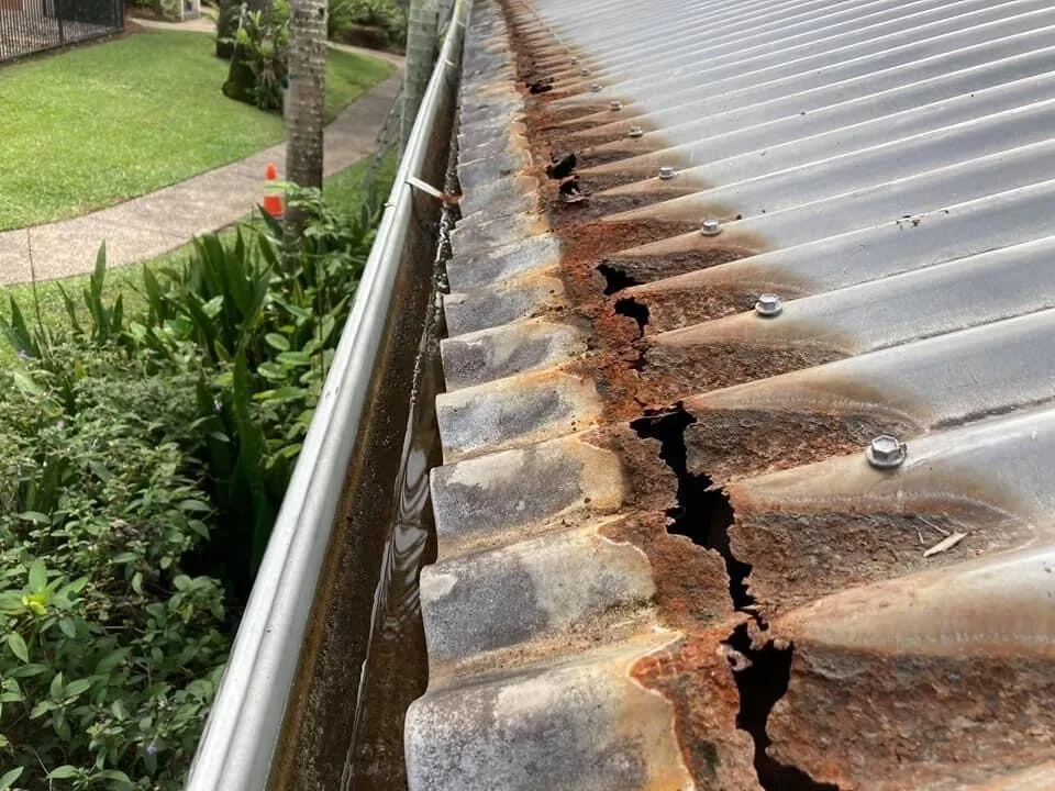 Debris mat compressed under guard — impossible to clear without full removal