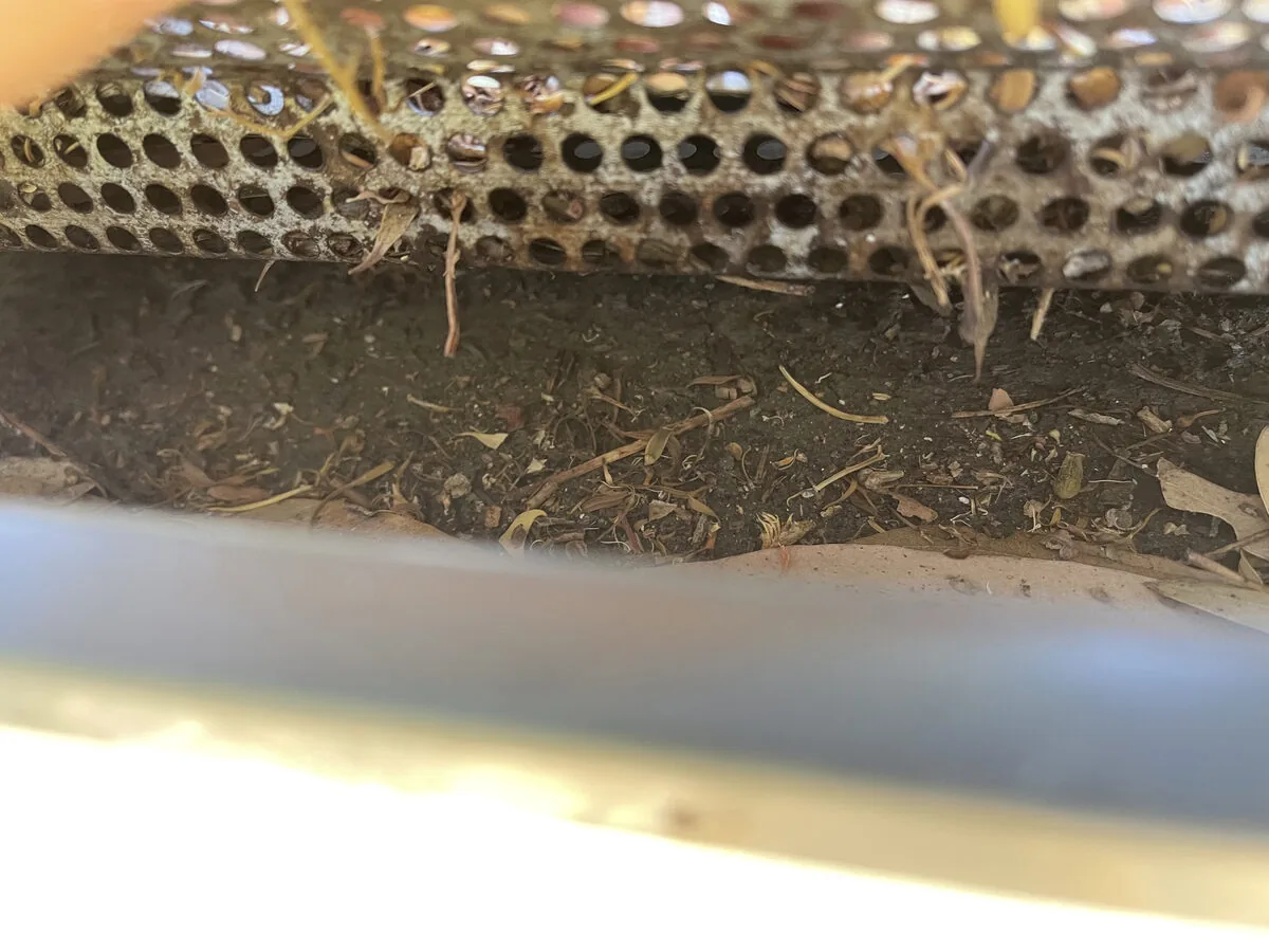 Debris packed solid under mesh — gutter entirely blocked despite guard being fitted
