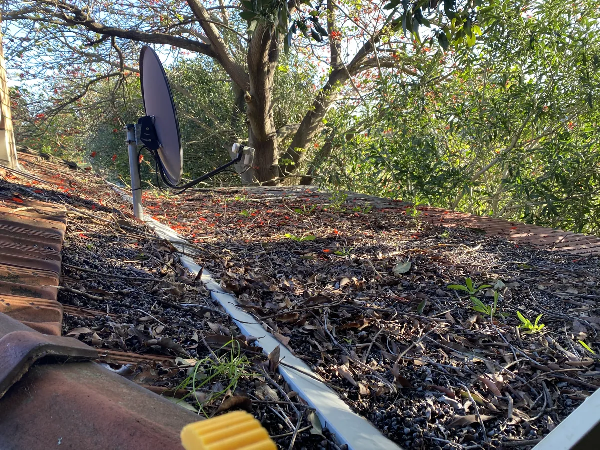 Tile-roof gutter packed with leaves and weeds before ProFlo vacuum cleaning, Perth