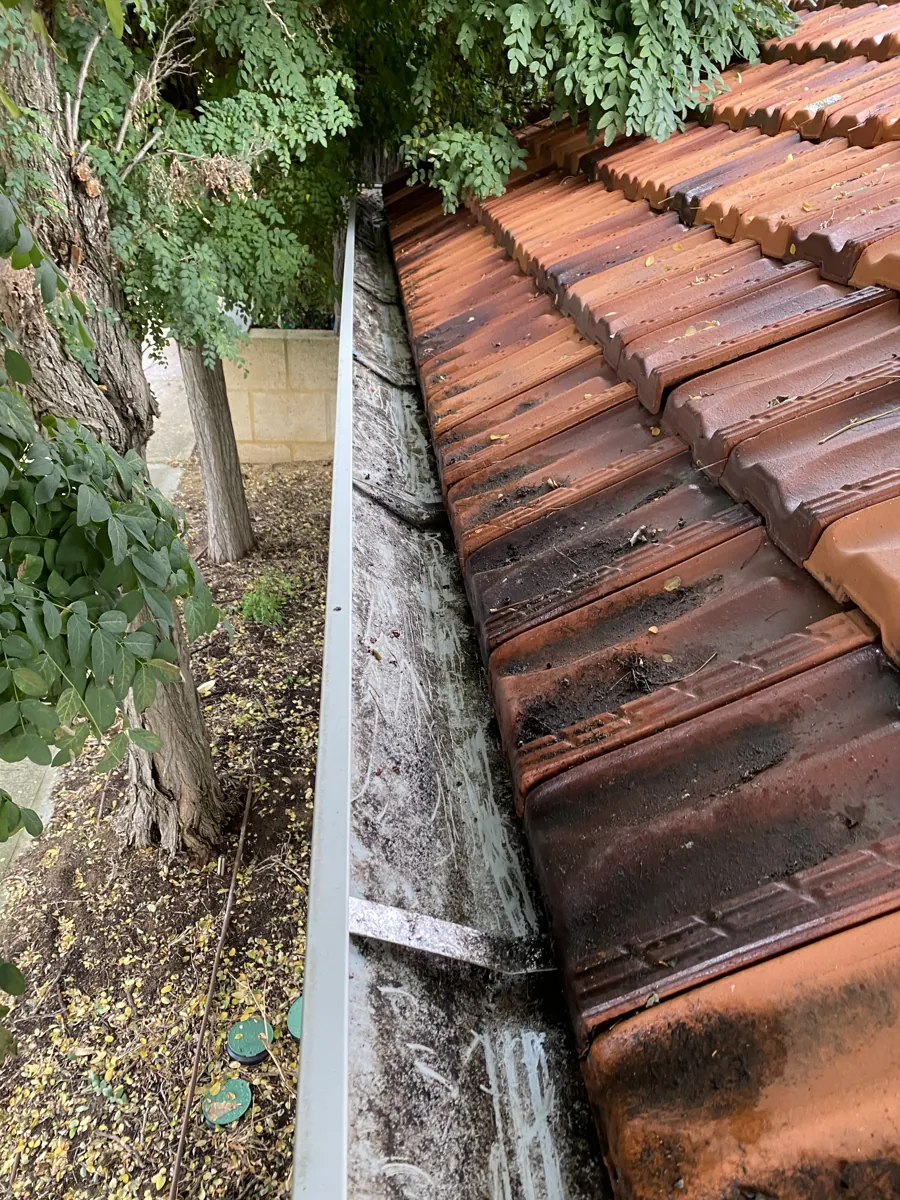 The same terracotta tile-roof gutter cleared after ProFlo vacuum cleaning, Perth