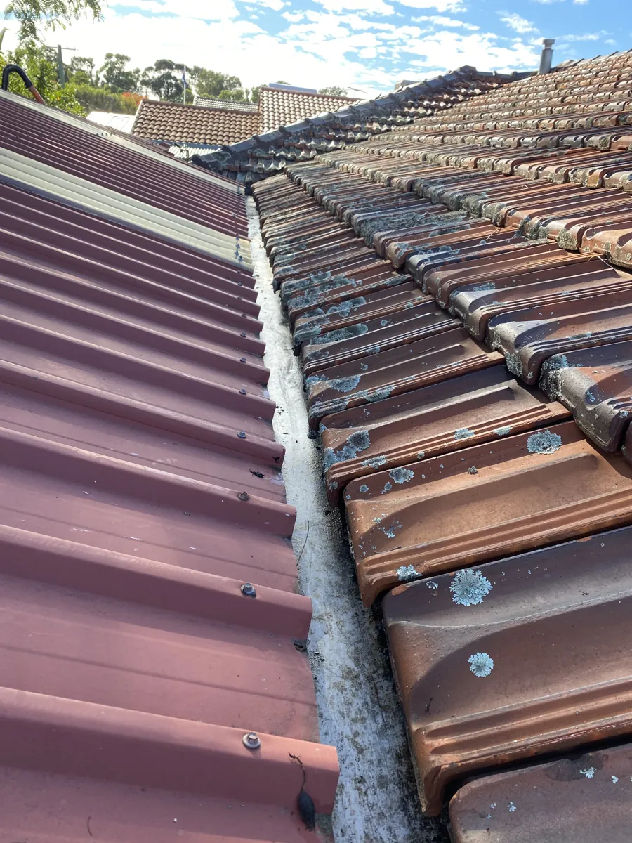 The same tile-roof gutter fully cleared after ProFlo vacuum cleaning, Perth