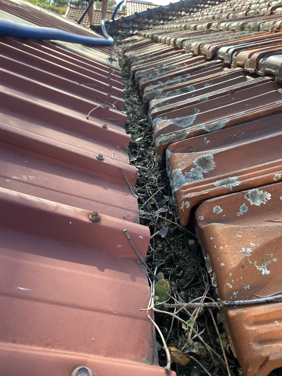 Tile-roof gutter packed with leaf litter before ProFlo vacuum cleaning, Perth