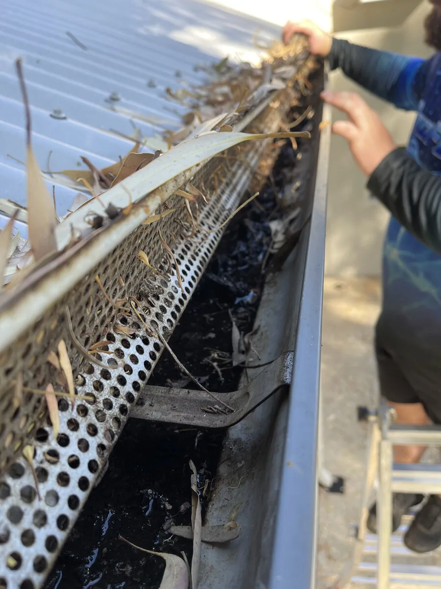 Guard mesh collapsed under debris weight — no longer functional